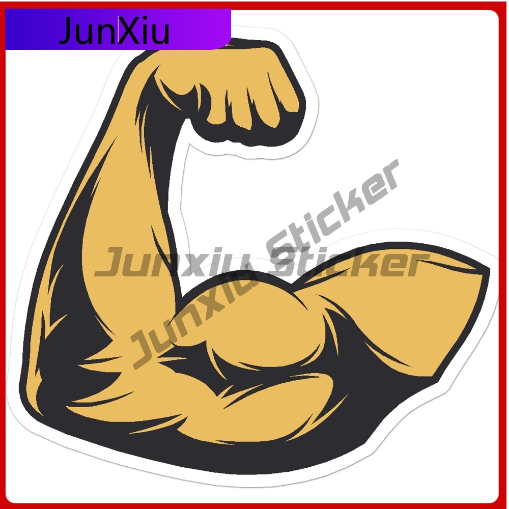 Bicep Muscle Weights Cute Best - огляд і ціна Laptop Accessories Best